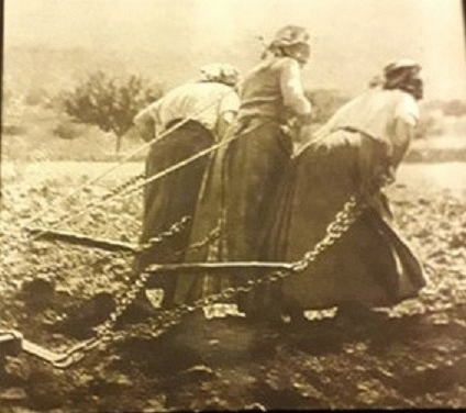 Skarnil : Mille Grâces